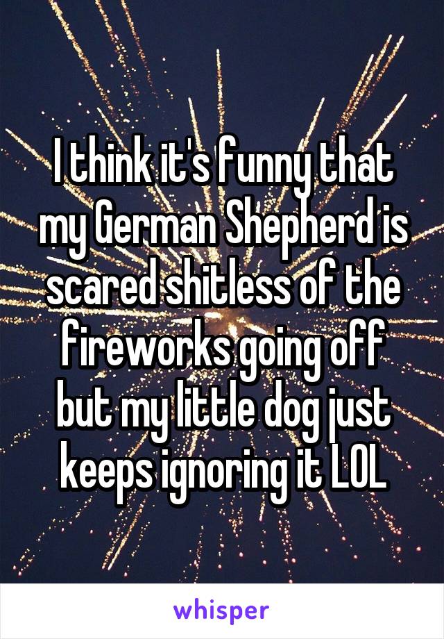 I think it's funny that my German Shepherd is scared shitless of the fireworks going off but my little dog just keeps ignoring it LOL