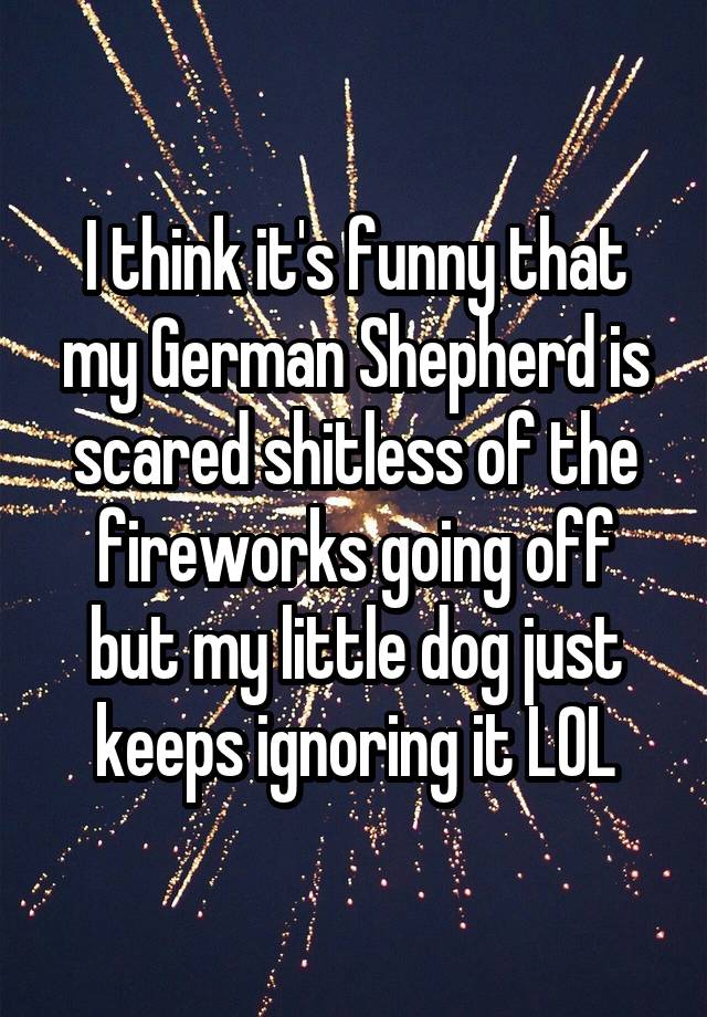 I think it's funny that my German Shepherd is scared shitless of the fireworks going off but my little dog just keeps ignoring it LOL