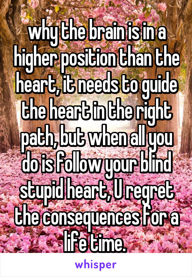 why the brain is in a higher position than the heart, it needs to guide the heart in the right path, but when all you do is follow your blind stupid heart, U regret the consequences for a life time. 