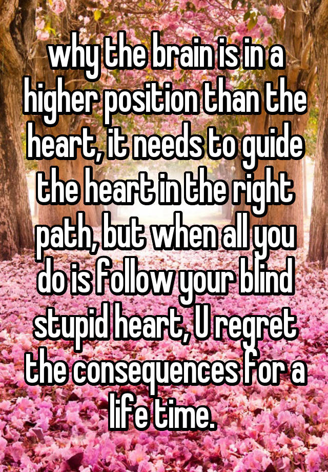 why the brain is in a higher position than the heart, it needs to guide the heart in the right path, but when all you do is follow your blind stupid heart, U regret the consequences for a life time. 