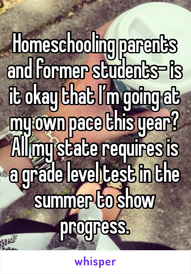 Homeschooling parents and former students- is it okay that I’m going at my own pace this year? All my state requires is a grade level test in the summer to show progress.