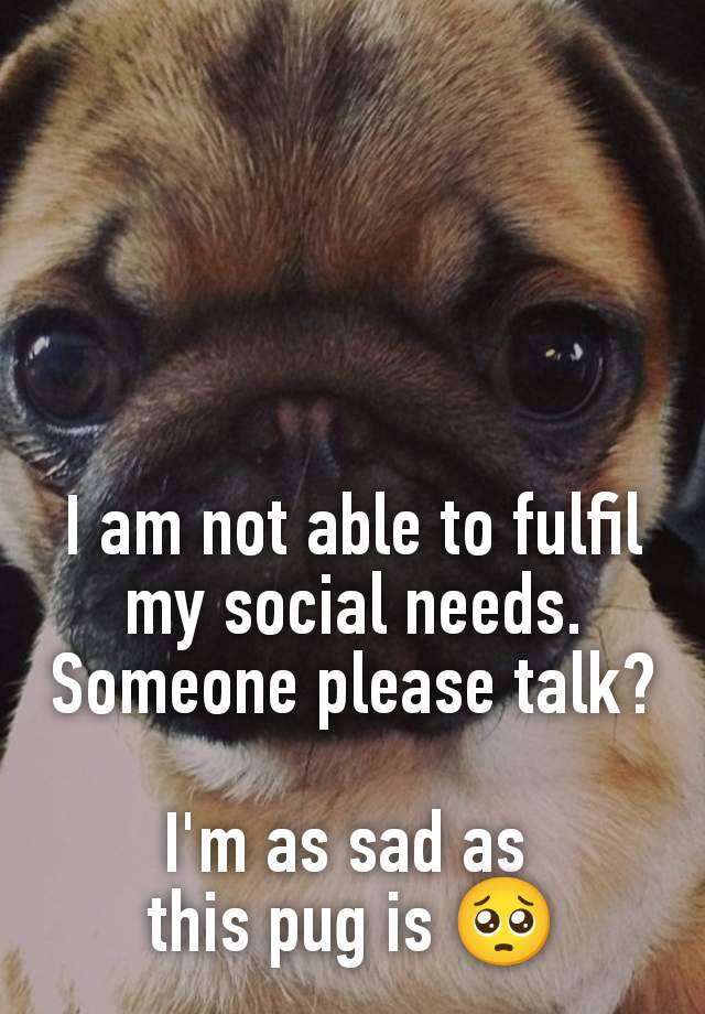 I am not able to fulfil my social needs. Someone please talk?

I'm as sad as 
this pug is 🥺