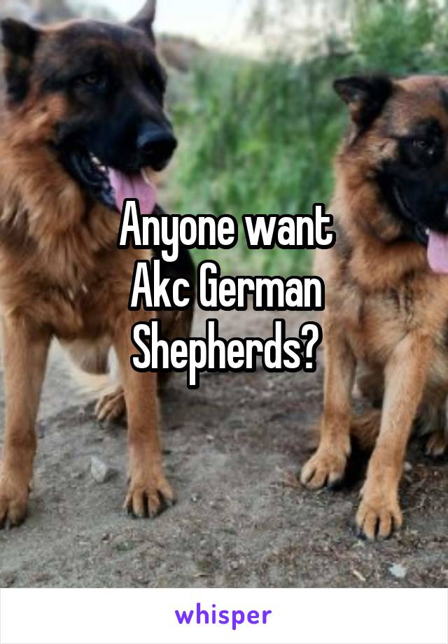Anyone want
Akc German Shepherds?
