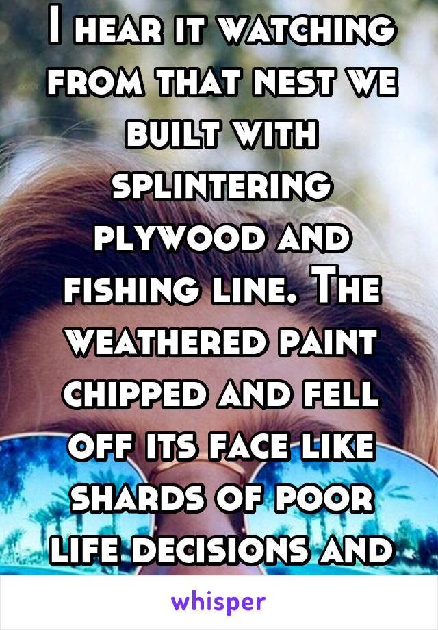 I hear it watching from that nest we built with splintering plywood and fishing line. The weathered paint chipped and fell off its face like shards of poor life decisions and regret...