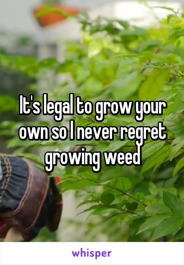 It's legal to grow your own so I never regret growing weed