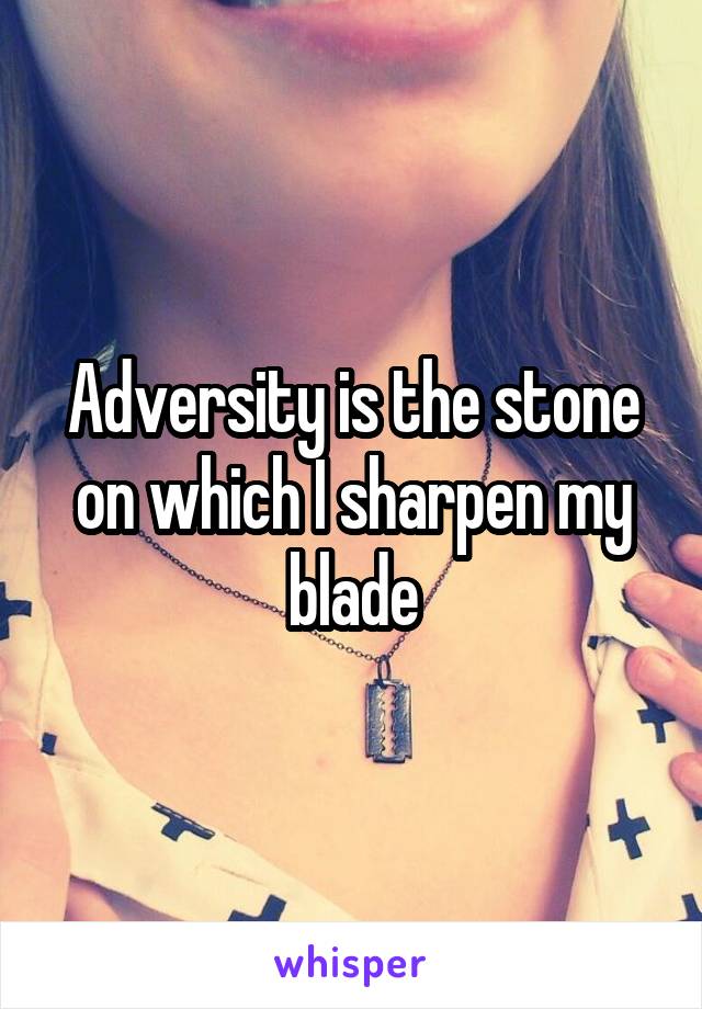 Adversity is the stone on which I sharpen my blade