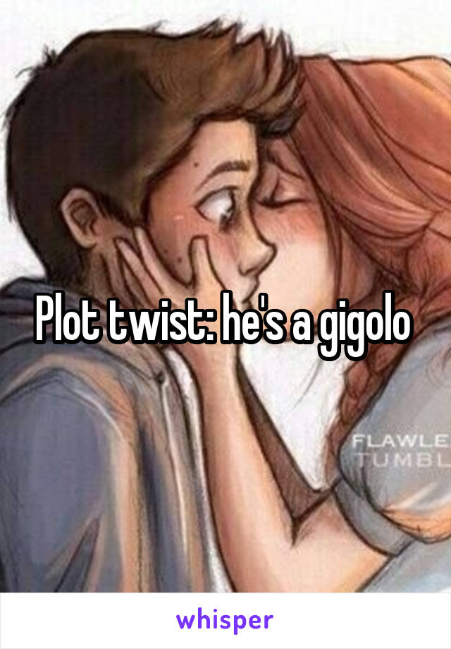 Plot twist: he's a gigolo 