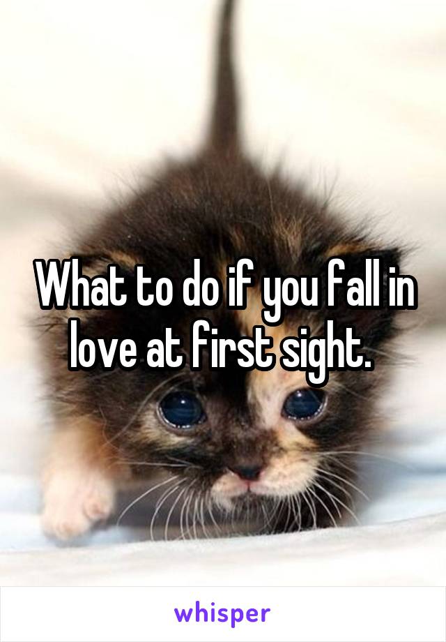 What to do if you fall in love at first sight. 