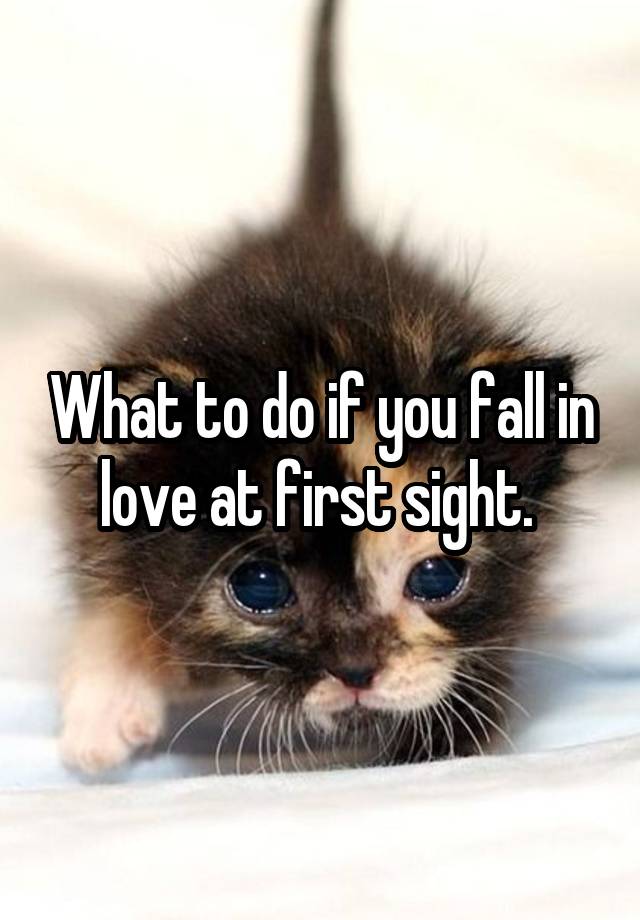 What to do if you fall in love at first sight. 