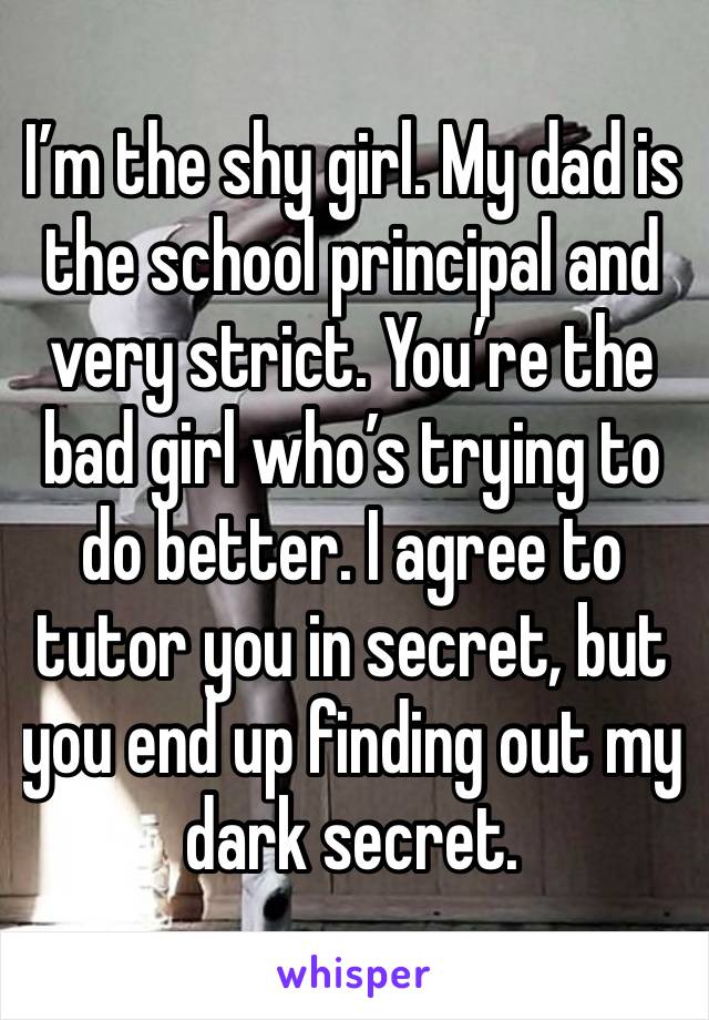 I’m the shy girl. My dad is the school principal and very strict. You’re the bad girl who’s trying to do better. I agree to tutor you in secret, but you end up finding out my dark secret.