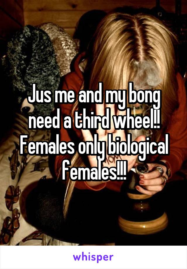 Jus me and my bong need a third wheel!! Females only biological females!!!