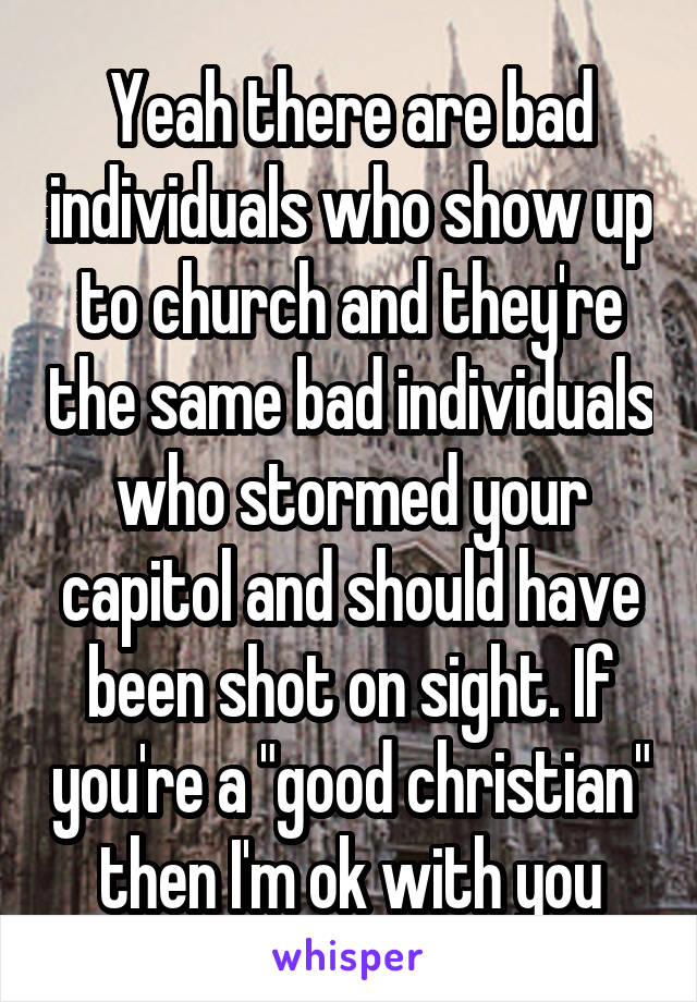 Yeah there are bad individuals who show up to church and they're the same bad individuals who stormed your capitol and should have been shot on sight. If you're a "good christian" then I'm ok with you