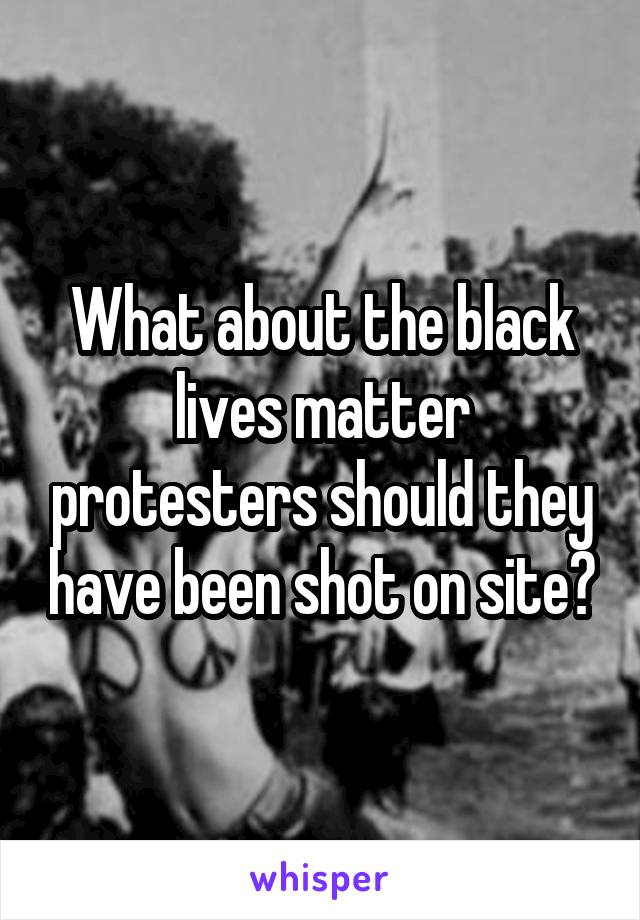 What about the black lives matter protesters should they have been shot on site?