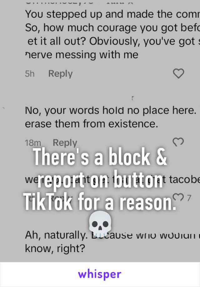 There's a block & report on button TikTok for a reason. 💀