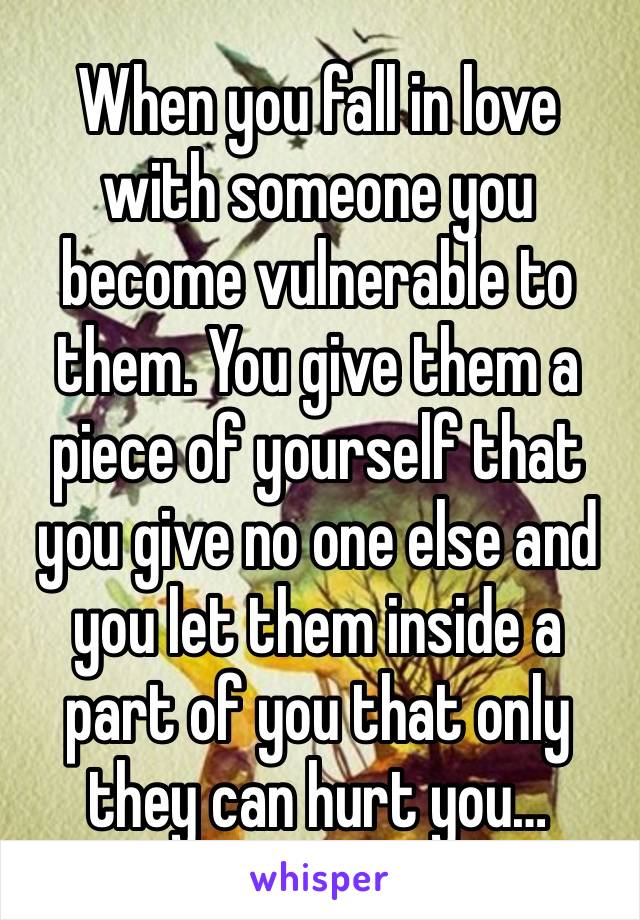 When you fall in love with someone you become vulnerable to them. You give them a piece of yourself that you give no one else and you let them inside a part of you that only they can hurt you…