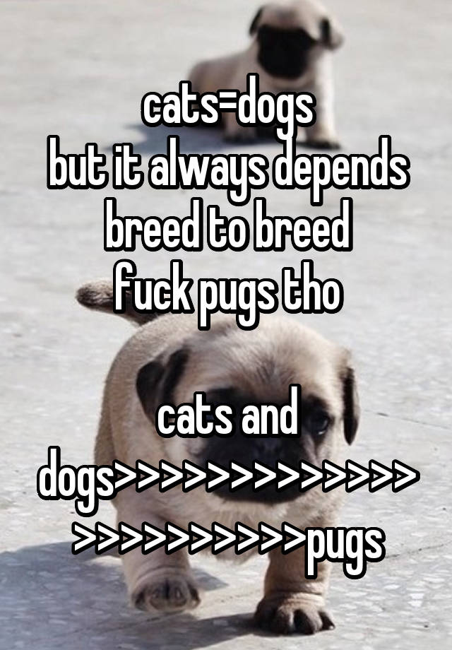 cats=dogs
but it always depends breed to breed
fuck pugs tho

cats and dogs>>>>>>>>>>>>>>>>>>>>>>>pugs