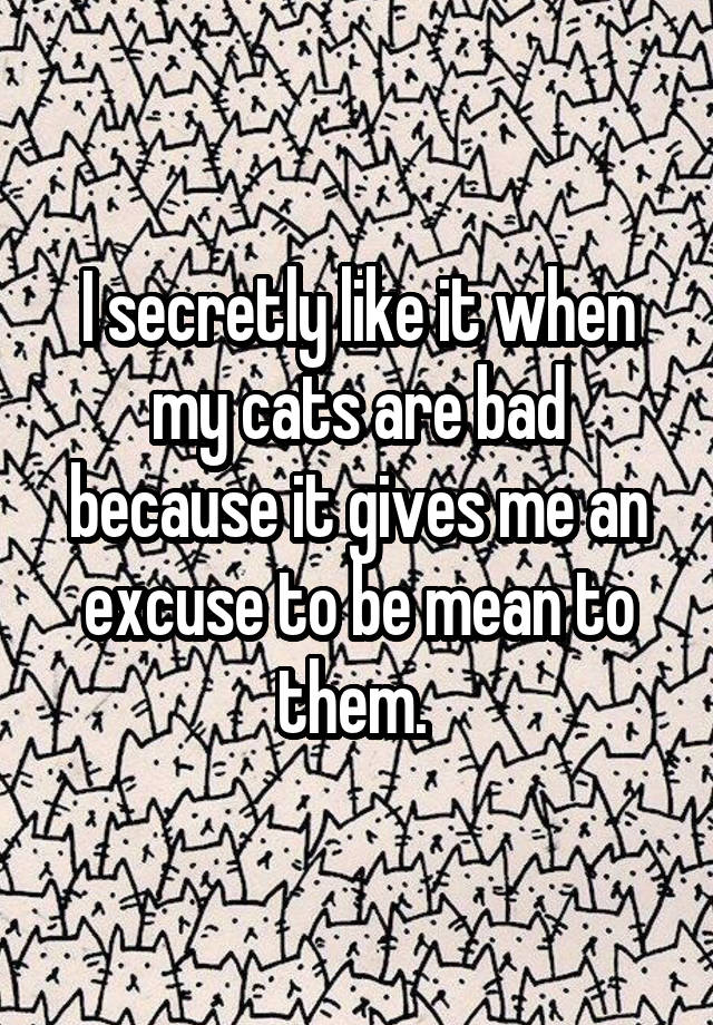 I secretly like it when my cats are bad because it gives me an excuse to be mean to them. 