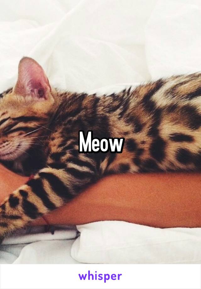 Meow