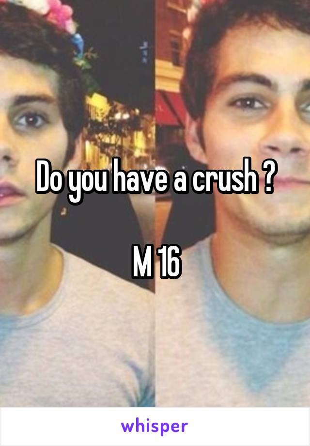 Do you have a crush ?

M 16