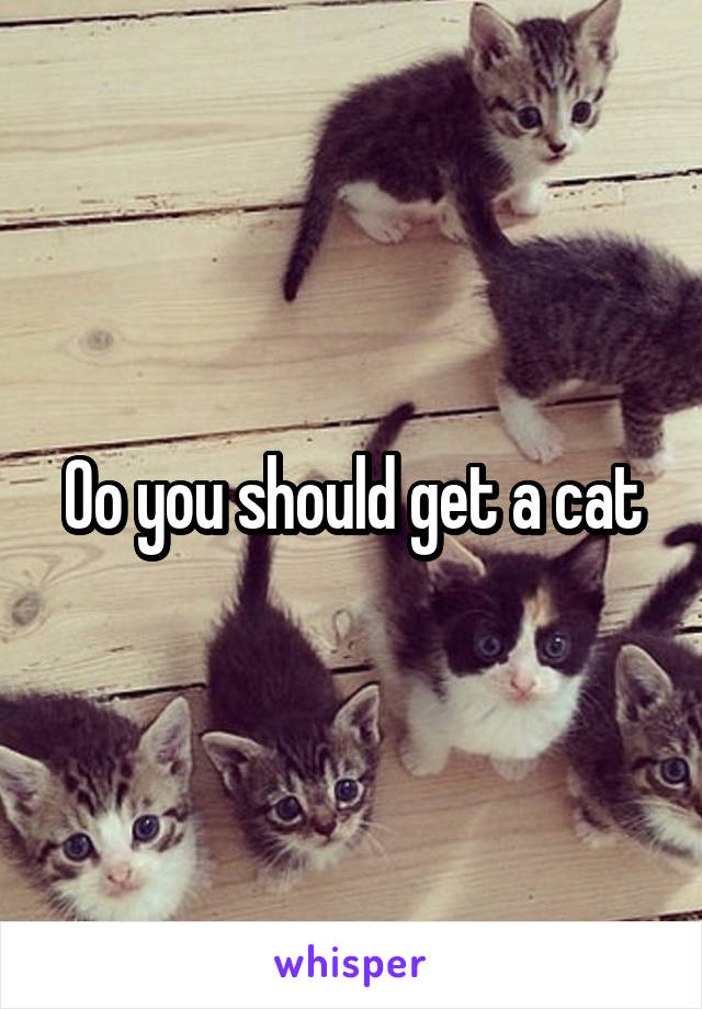 Oo you should get a cat