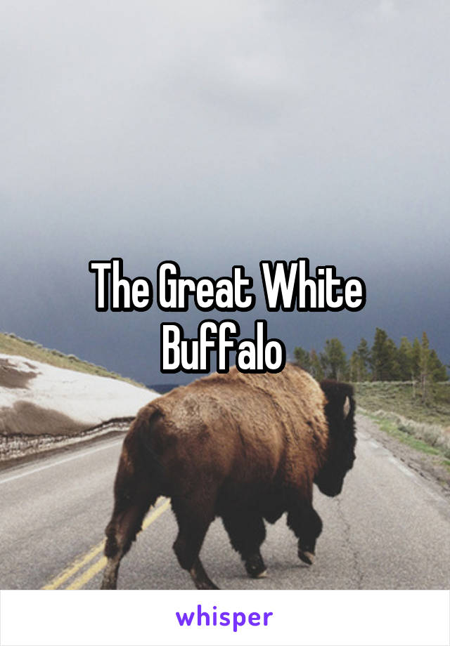 The Great White Buffalo 