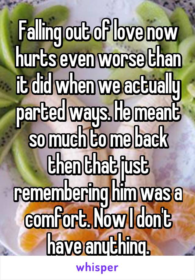 Falling out of love now hurts even worse than it did when we actually parted ways. He meant so much to me back then that just remembering him was a comfort. Now I don't have anything.