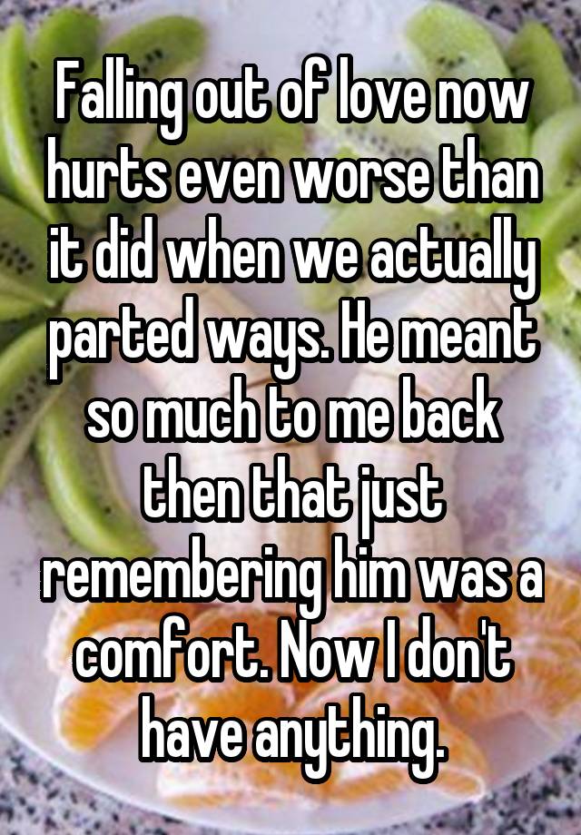 Falling out of love now hurts even worse than it did when we actually parted ways. He meant so much to me back then that just remembering him was a comfort. Now I don't have anything.