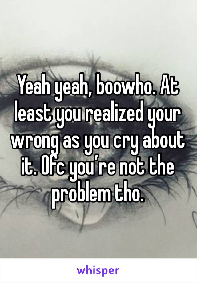 Yeah yeah, boowho. At least you realized your wrong as you cry about it. Ofc you’re not the problem tho. 