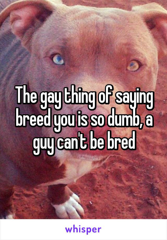 The gay thing of saying breed you is so dumb, a guy can't be bred