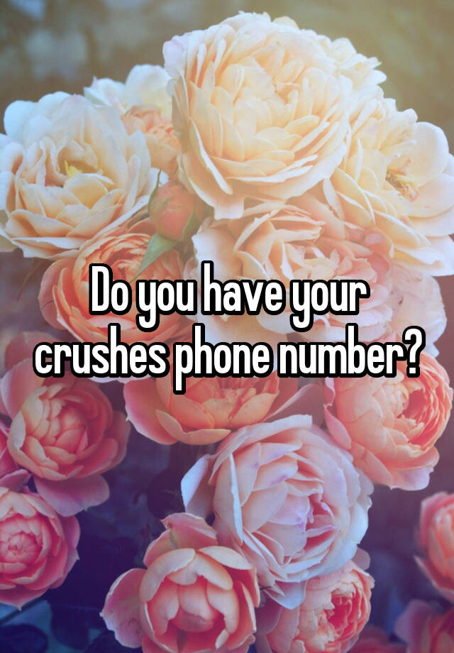 Do you have your crushes phone number?