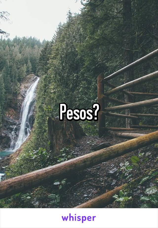 Pesos?