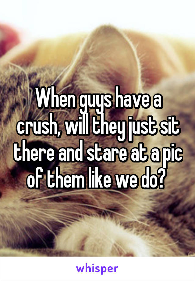 When guys have a crush, will they just sit there and stare at a pic of them like we do? 