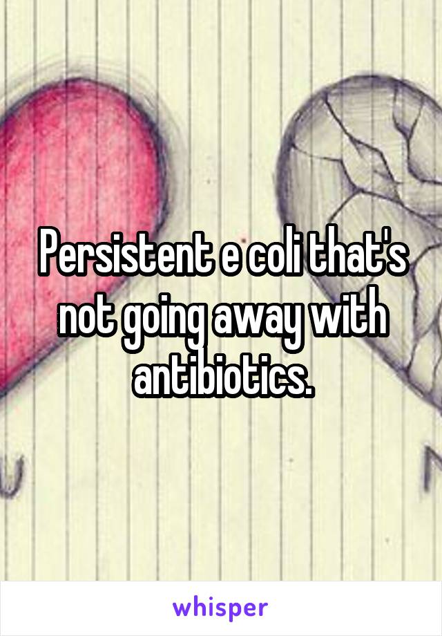 Persistent e coli that's not going away with antibiotics.