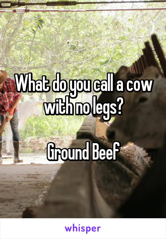 What do you call a cow with no legs?

Ground Beef