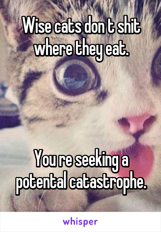 Wise cats don t shit where they eat.




You re seeking a potental catastrophe.
