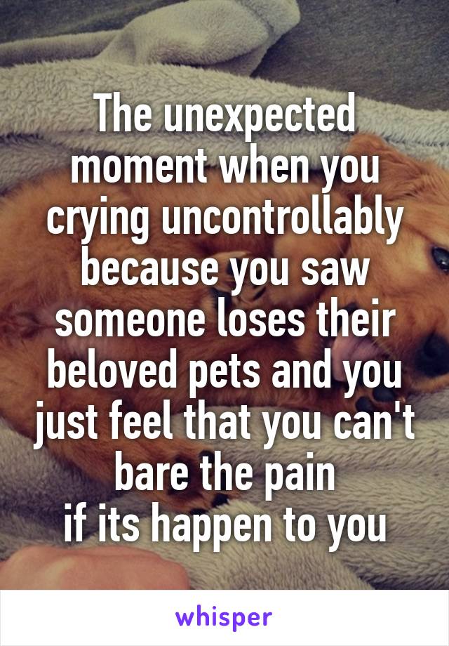 The unexpected moment when you crying uncontrollably because you saw someone loses their beloved pets and you just feel that you can't bare the pain
if its happen to you