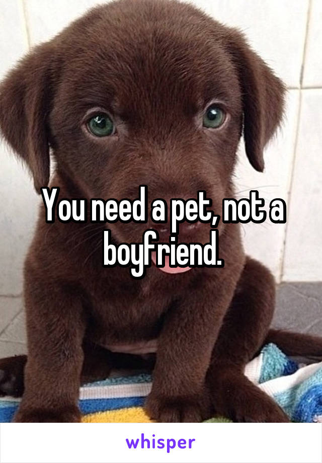 You need a pet, not a boyfriend.