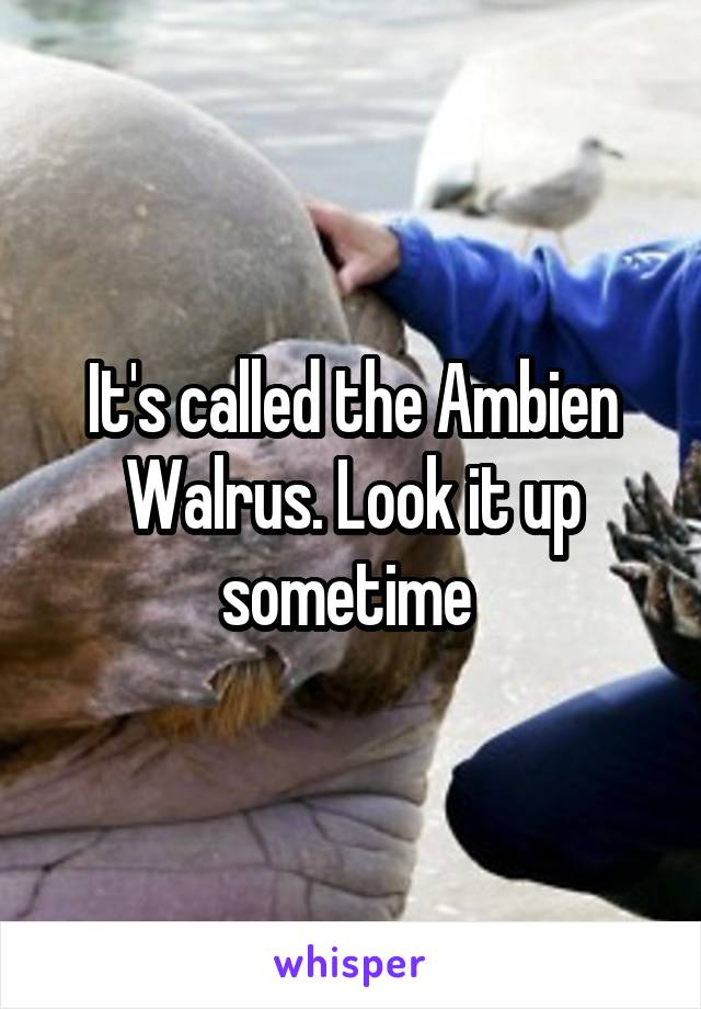 It's called the Ambien Walrus. Look it up sometime 