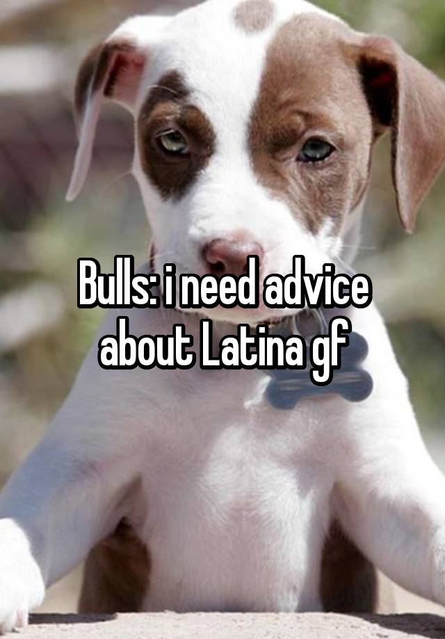 Bulls: i need advice about Latina gf