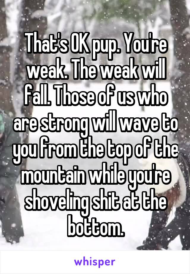 That's OK pup. You're weak. The weak will fall. Those of us who are strong will wave to you from the top of the mountain while you're shoveling shit at the bottom.