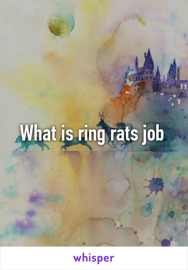 What is ring rats job 