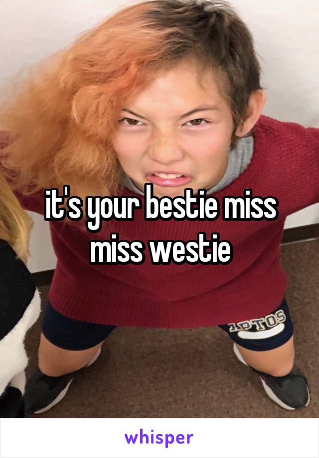 it's your bestie miss miss westie