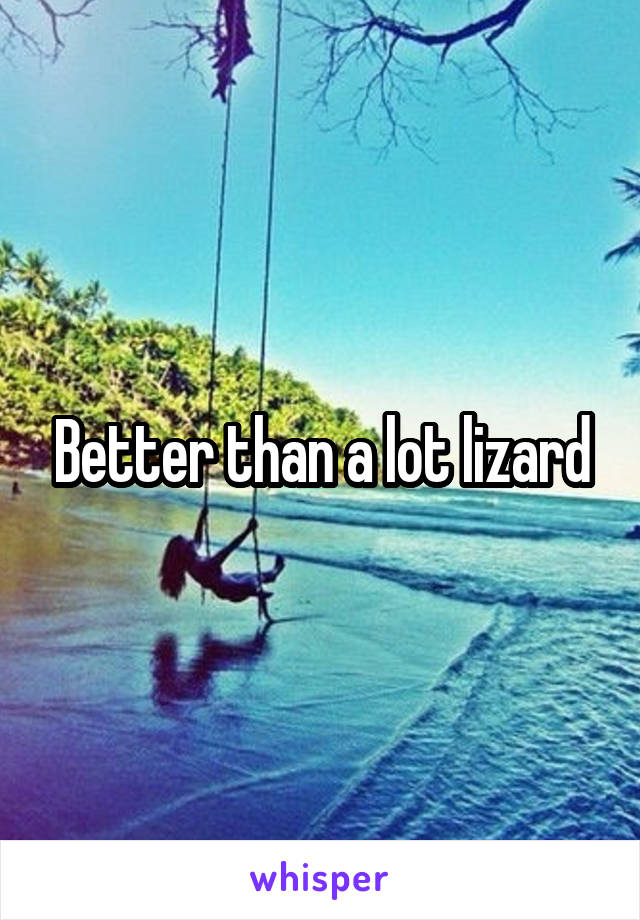 Better than a lot lizard