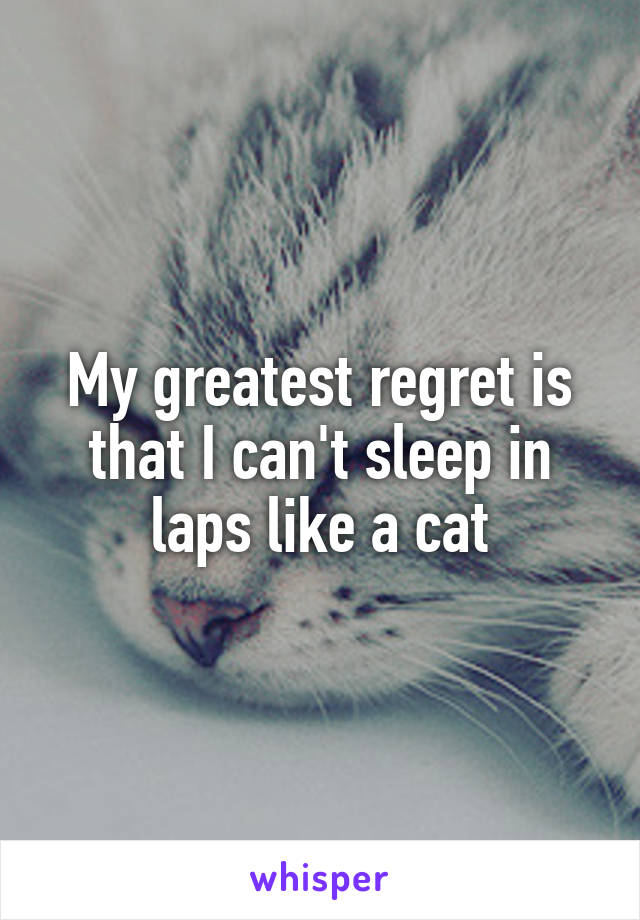 My greatest regret is that I can't sleep in laps like a cat