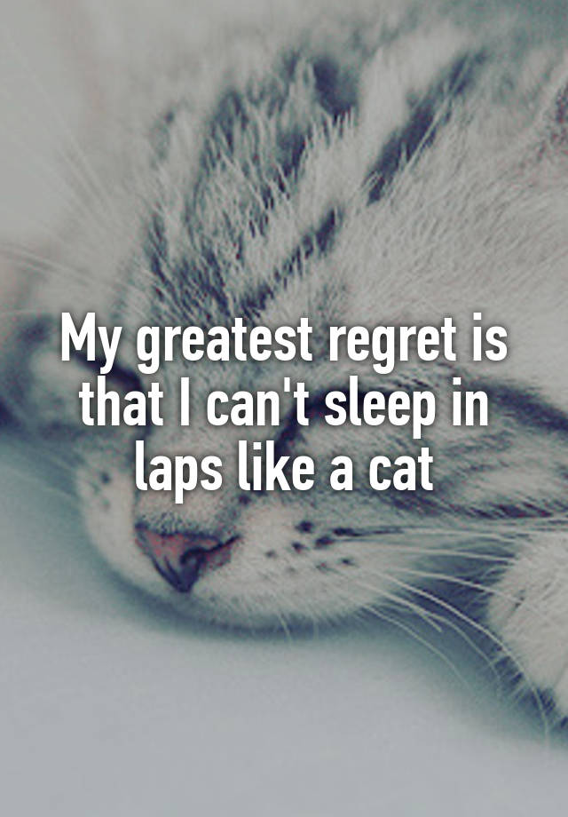 My greatest regret is that I can't sleep in laps like a cat