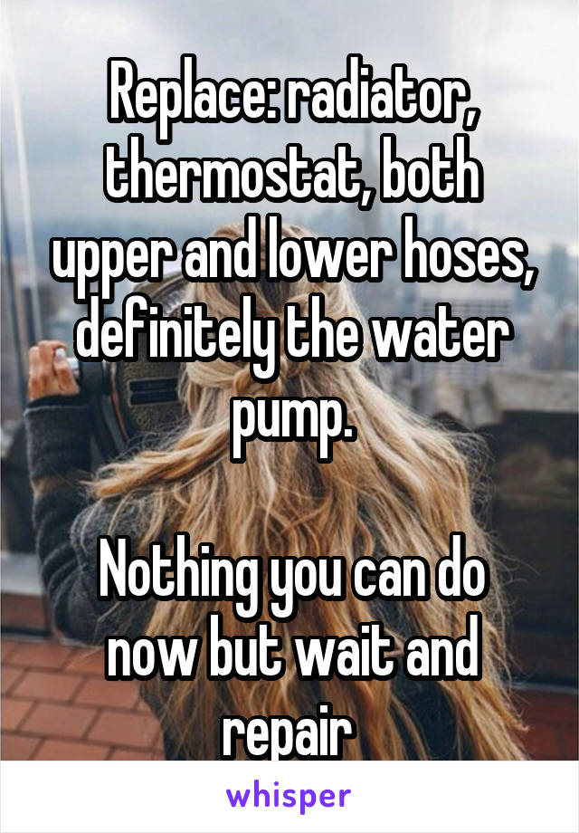 Replace: radiator, thermostat, both upper and lower hoses, definitely the water pump.

Nothing you can do now but wait and repair 