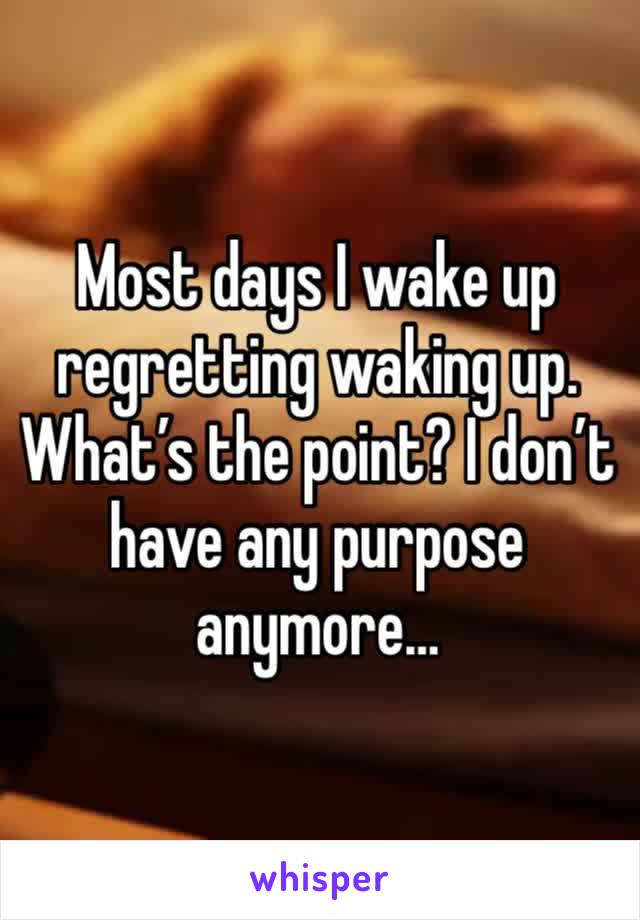 Most days I wake up regretting waking up. What’s the point? I don’t have any purpose anymore…