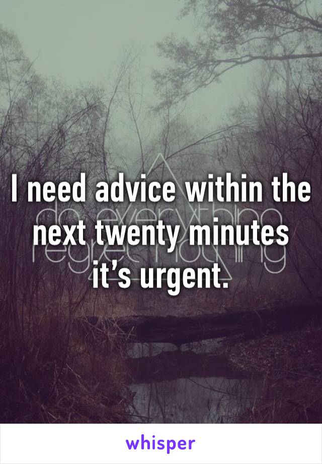 I need advice within the next twenty minutes it’s urgent. 