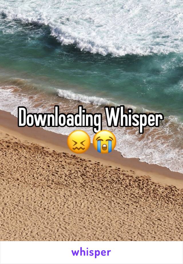 Downloading Whisper 😖😭