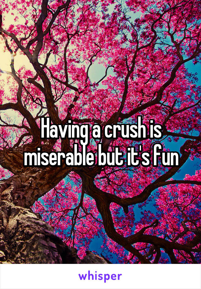 Having a crush is miserable but it's fun